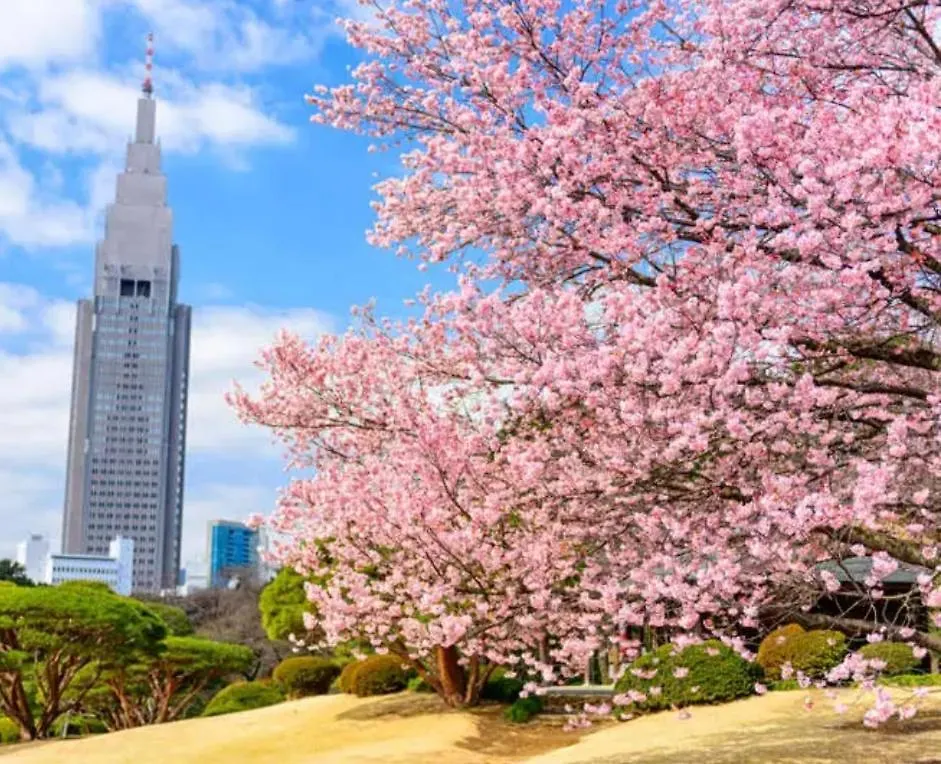 B23新宿商圈 车站徒步5分-Shinjuku Area Max 5P Tokyo 0*,